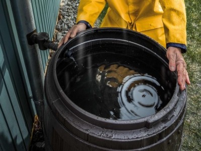 Regenwater opvangen met een regenton