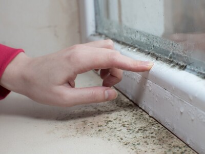 Betere schimmelaanpak is nodig