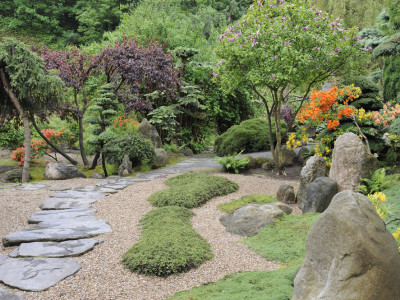 Prachtige herfstkleuren in de Japanse Tuin