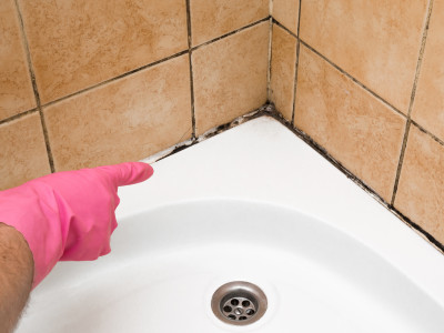 buiten gebruik Bowling Afgekeurd Tips om schimmel in de badkamer te verwijderen - Nieuws
