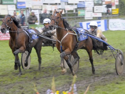 Stompwijkse Paardendagen 2017