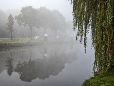 Stichting Duurzaam Leidschendam-Voorburg wil meer bomen